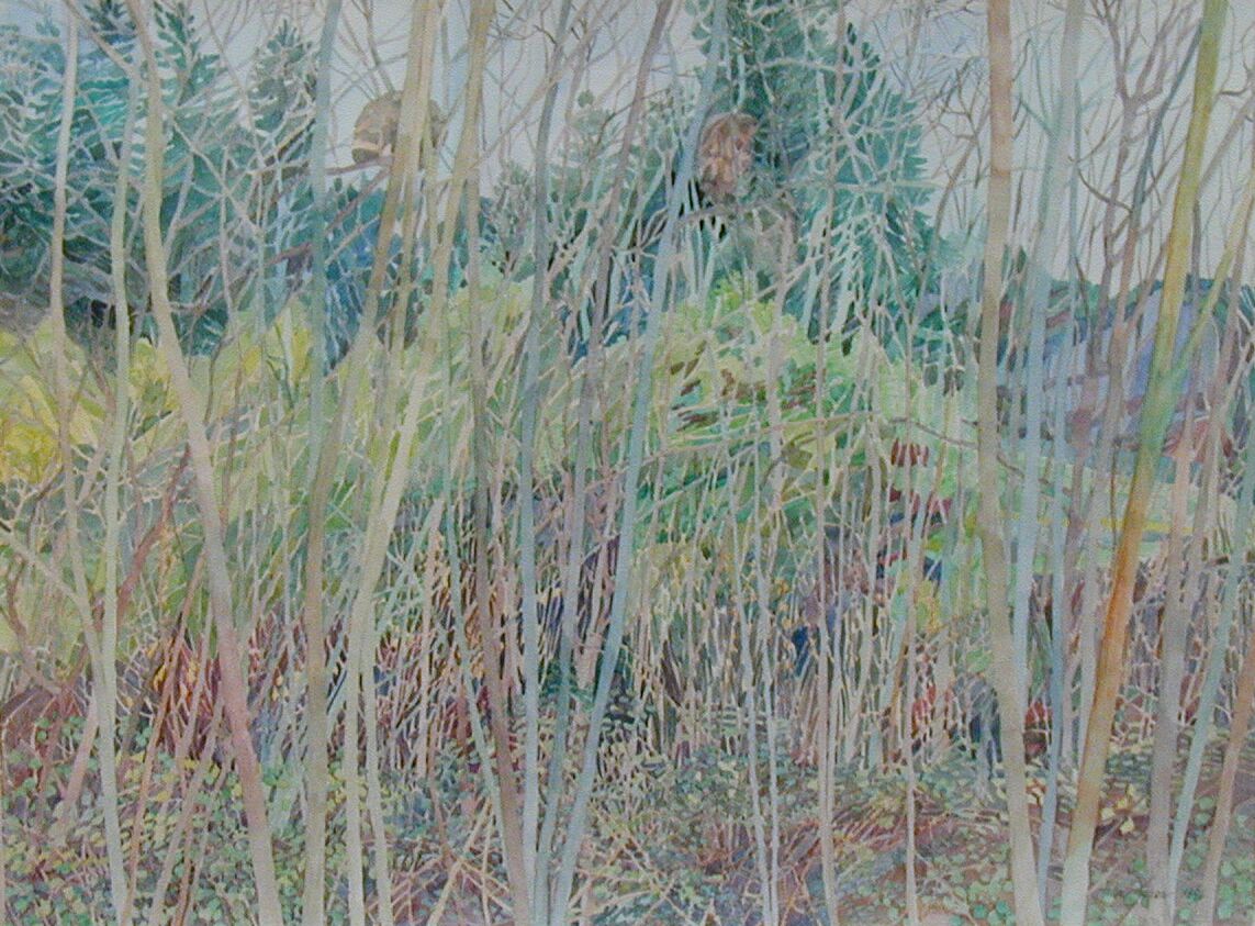 A painting of a forest

AI-generated content may be incorrect.